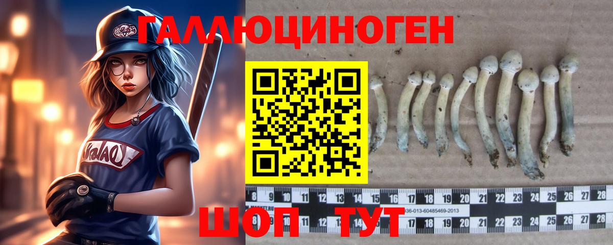 Галлюциногенные грибы прущие грибы  Вход с VPN  Псилоцибиновые грибы Psilocybine cubensis  Ачхой-Мартан 